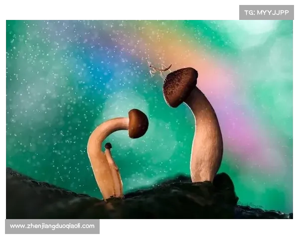 梦幻新诛仙中拍摄唯美仙境风光的实用技巧与构图心得分享 梦幻新诛仙中拍摄唯美仙境风光的实用技巧与构图心得分享